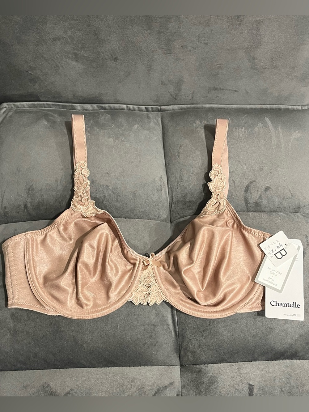 Chantelle Hedona Blush Underwire Bra with Lace Trim - Picture 2 of 3